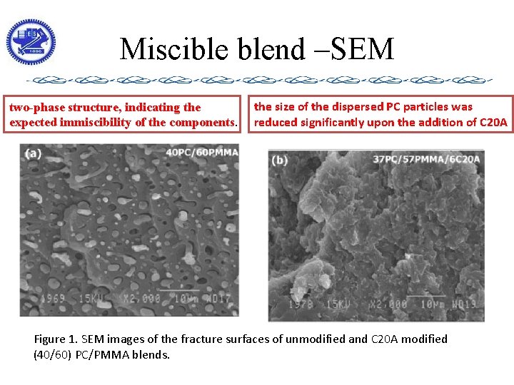 Miscible blend –SEM two-phase structure, indicating the expected immiscibility of the components. the size