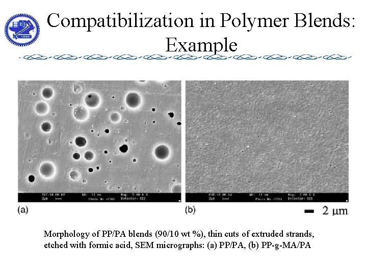 Compatibilization in Polymer Blends: Example Morphology of PP/PA blends (90/10 wt %), thin cuts