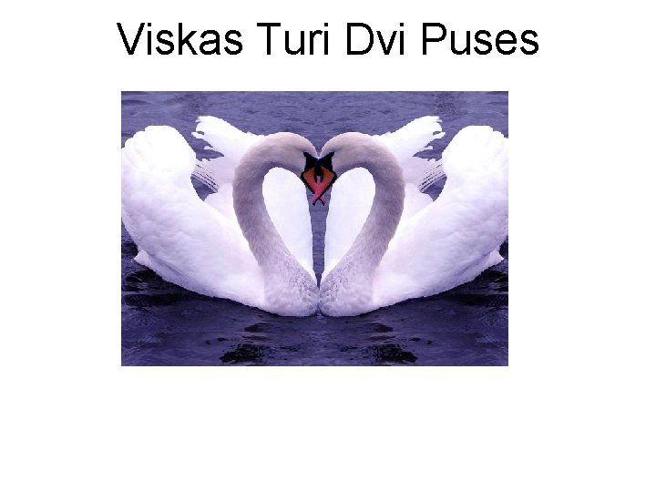 Viskas Turi Dvi Puses 