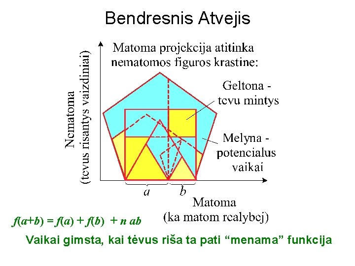 Bendresnis Atvejis f(a+b) = f(a) + f(b) + n ab Vaikai gimsta, kai tėvus