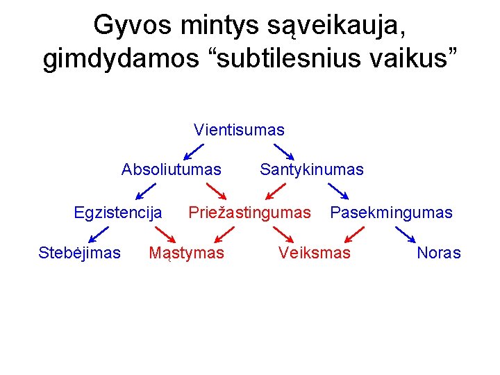 Gyvos mintys sąveikauja, gimdydamos “subtilesnius vaikus” Vientisumas Absoliutumas Egzistencija Stebėjimas Santykinumas Priežastingumas Mąstymas Pasekmingumas