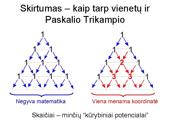 Skirtumas – kaip tarp vienetų ir Paskalio Trikampio Negyva matematika Viena menama koordinatė Skaičiai