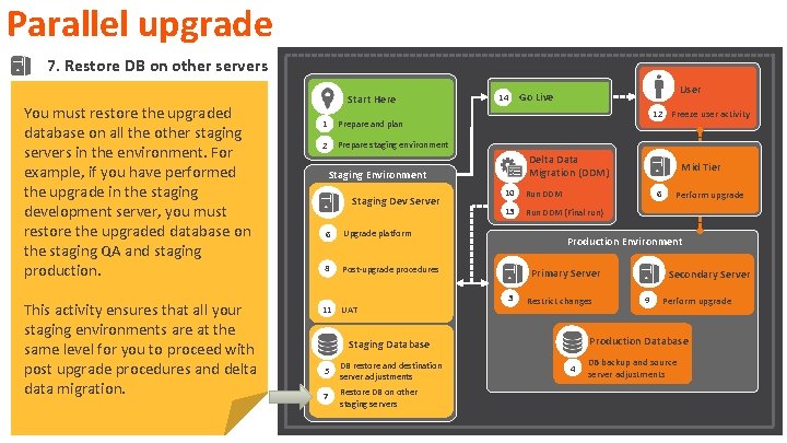 Parallel upgrade 7. Restore DB on other servers You must restore the upgraded database Parallel upgrade 7. Restore DB on other servers You must restore the upgraded database
