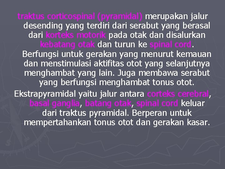 traktus corticospinal (pyramidal) merupakan jalur desending yang terdiri dari serabut yang berasal dari korteks