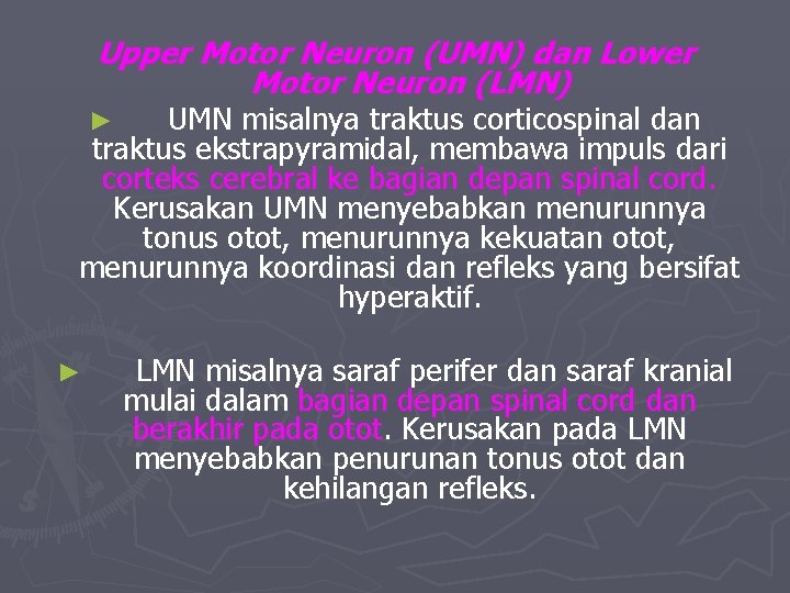 Upper Motor Neuron (UMN) dan Lower Motor Neuron (LMN) UMN misalnya traktus corticospinal dan