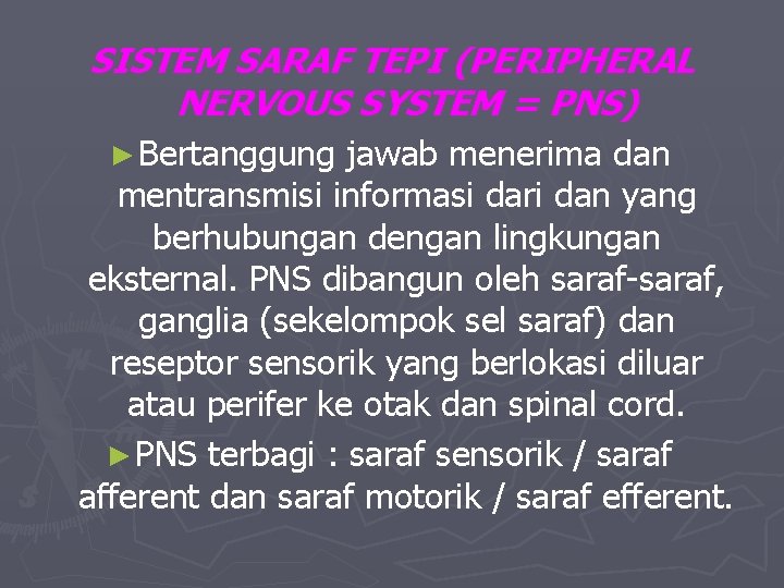 SISTEM SARAF TEPI (PERIPHERAL NERVOUS SYSTEM = PNS) ► Bertanggung jawab menerima dan mentransmisi