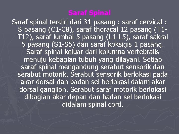 Saraf Spinal Saraf spinal terdiri dari 31 pasang : saraf cervical : 8 pasang