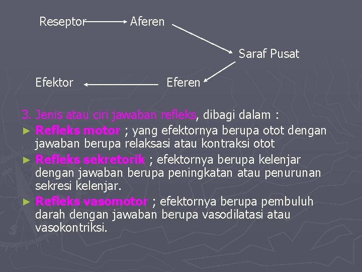 Reseptor Aferen Saraf Pusat Efektor Eferen 3. Jenis atau ciri jawaban refleks, dibagi dalam