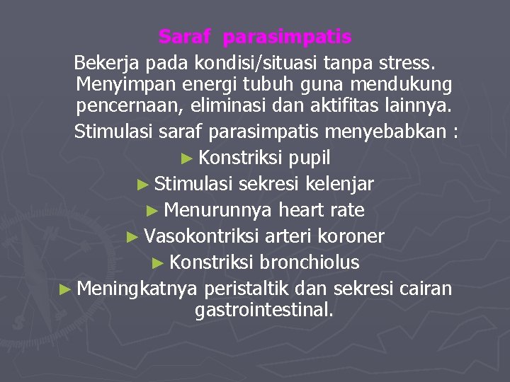 Saraf parasimpatis Bekerja pada kondisi/situasi tanpa stress. Menyimpan energi tubuh guna mendukung pencernaan, eliminasi