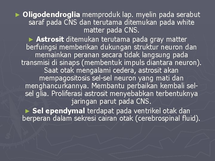 ► Oligodendroglia memproduk lap. myelin pada serabut saraf pada CNS dan terutama ditemukan pada