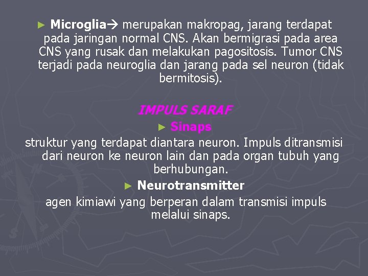 Microglia merupakan makropag, jarang terdapat pada jaringan normal CNS. Akan bermigrasi pada area CNS