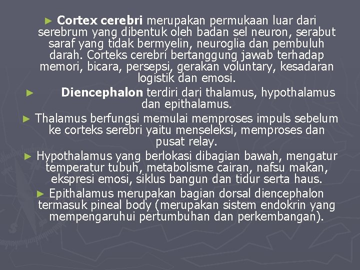 Cortex cerebri merupakan permukaan luar dari serebrum yang dibentuk oleh badan sel neuron, serabut