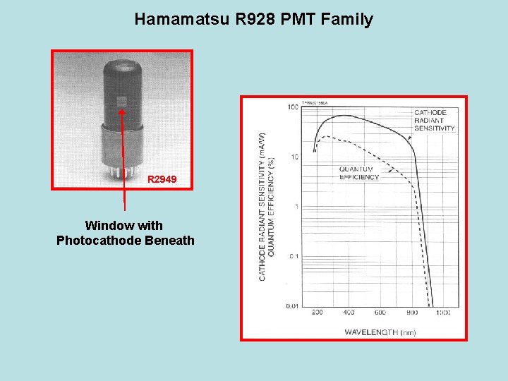 Hamamatsu R 928 PMT Family R 2949 Window with Photocathode Beneath 