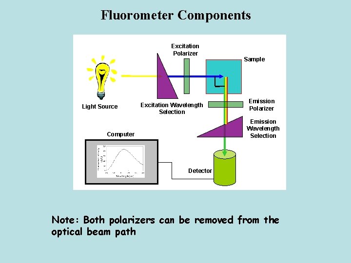 Fluorometer Components Excitation Polarizer Light Source Excitation Wavelength Selection Sample Emission Polarizer Emission Wavelength