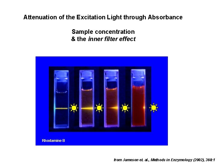 Attenuation of the Excitation Light through Absorbance Sample concentration & the inner filter effect