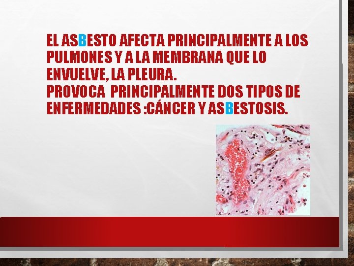 EL ASBESTO AFECTA PRINCIPALMENTE A LOS PULMONES Y A LA MEMBRANA QUE LO ENVUELVE,