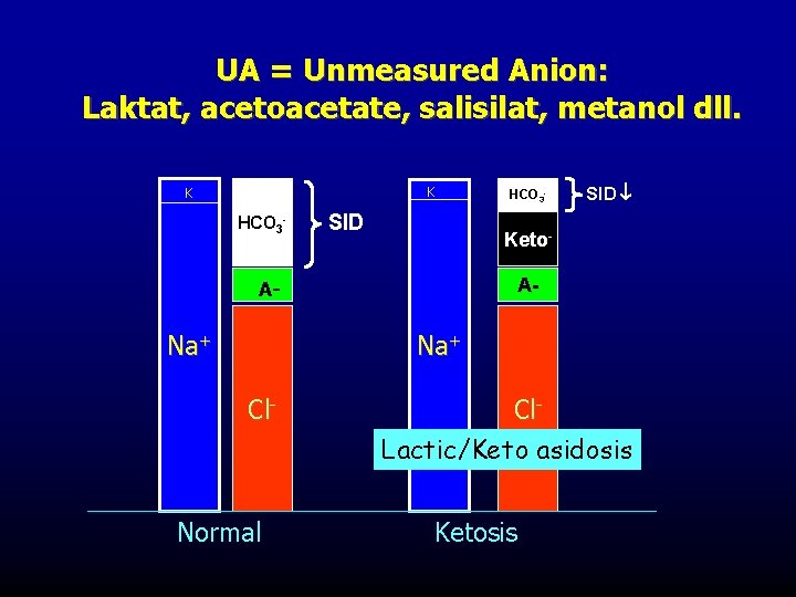 UA = Unmeasured Anion: Laktat, acetoacetate, salisilat, metanol dll. K K HCO 3 -