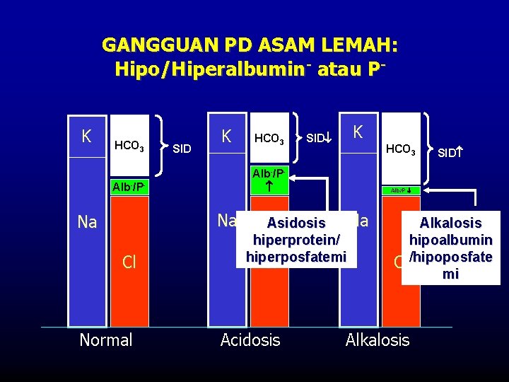 GANGGUAN PD ASAM LEMAH: Hipo/Hiperalbumin- atau PK HCO 3 SID K Na Cl Normal