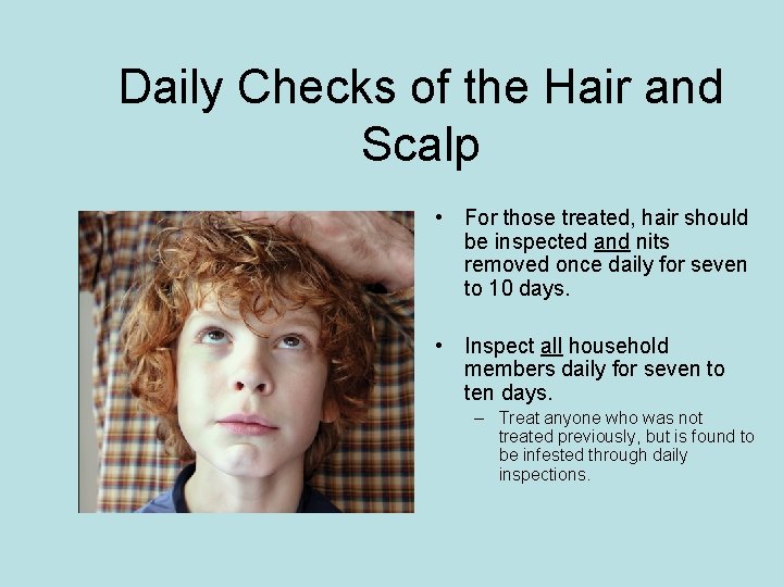 Daily Checks of the Hair and Scalp • For those treated, hair should be