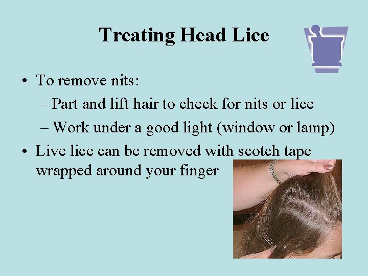 Treating Head Lice • To remove nits: – Part and lift hair to check