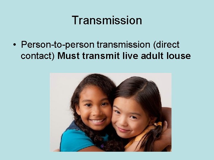 Transmission • Person-to-person transmission (direct contact) Must transmit live adult louse 