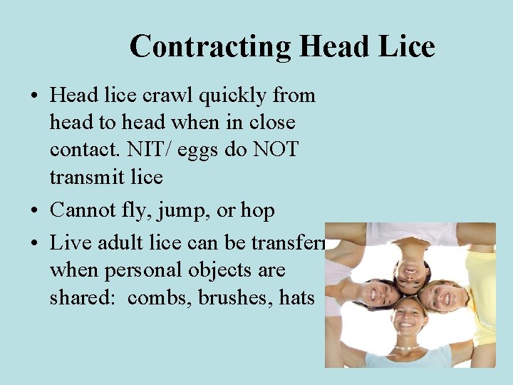 Contracting Head Lice • Head lice crawl quickly from head to head when in