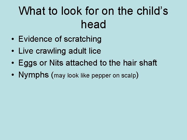 What to look for on the child’s head • • Evidence of scratching Live