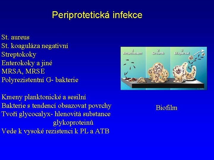 Periprotetická infekce St. aureus St. koaguláza negativní Streptokoky Enterokoky a jiné MRSA, MRSE Polyrezistentní