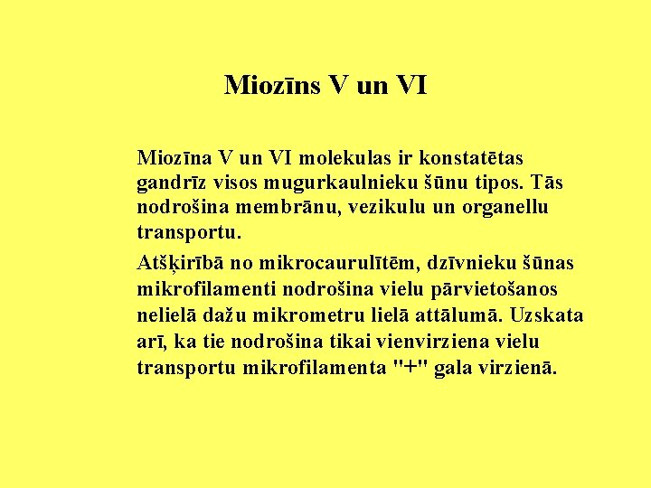 Miozīns V un VI Miozīna V un VI molekulas ir konstatētas gandrīz visos mugurkaulnieku