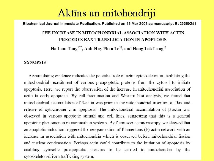 Aktīns un mitohondriji 