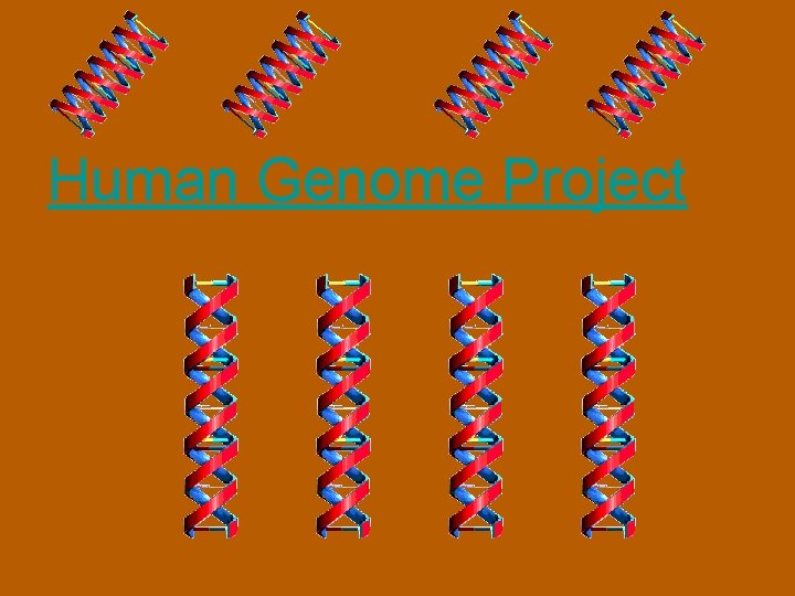 Human Genome Project 