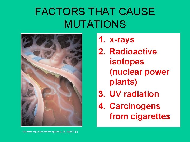 FACTORS THAT CAUSE MUTATIONS 1. x-rays 2. Radioactive isotopes (nuclear power plants) 3. UV