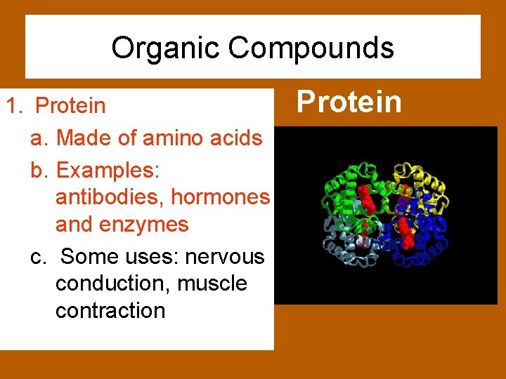 Organic Compounds 1. Protein a. Made of amino acids b. Examples: antibodies, hormones and