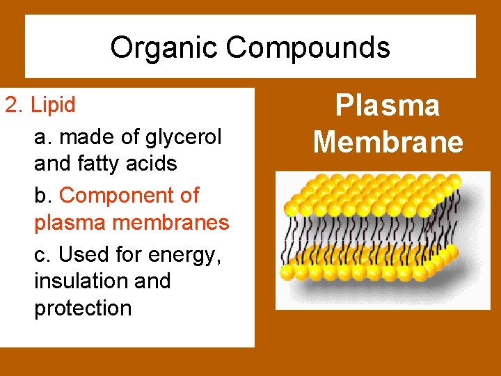 Organic Compounds 2. Lipid a. made of glycerol and fatty acids b. Component of