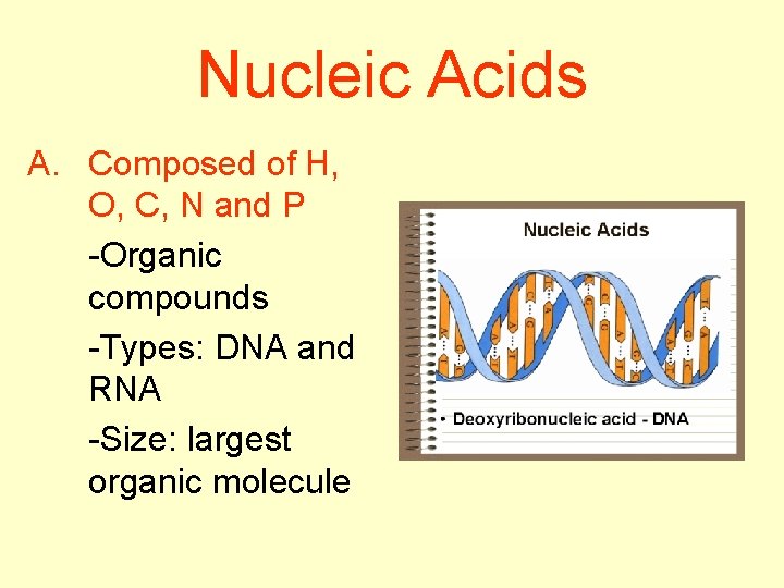 Nucleic Acids A. Composed of H, O, C, N and P -Organic compounds -Types: