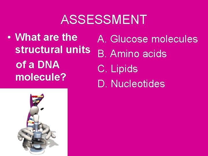 ASSESSMENT • What are the A. Glucose molecules structural units B. Amino acids of