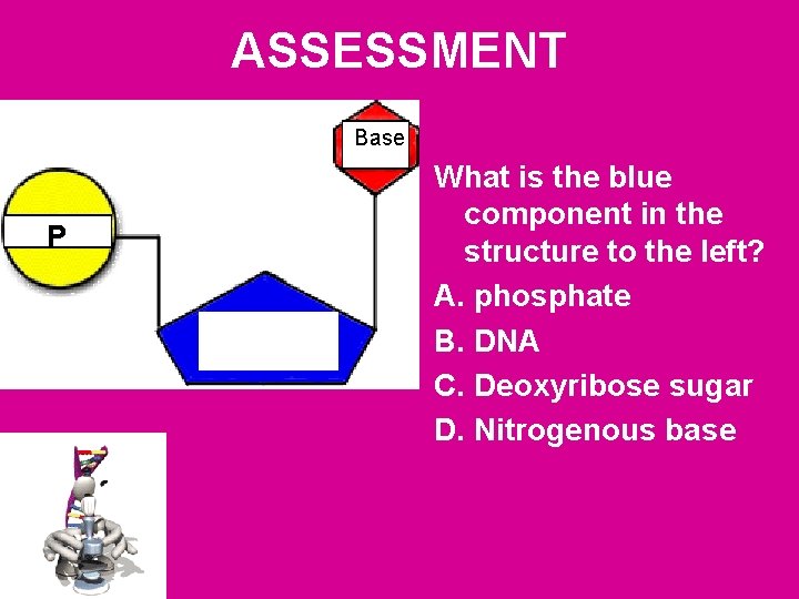 ASSESSMENT Base P What is the blue component in the structure to the left?