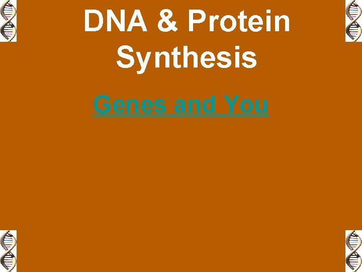 DNA & Protein Synthesis Genes and You 