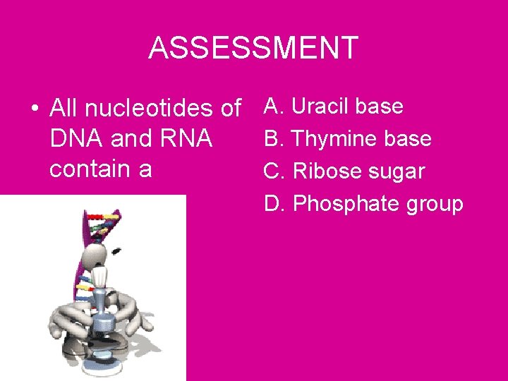ASSESSMENT • All nucleotides of A. Uracil base B. Thymine base DNA and RNA