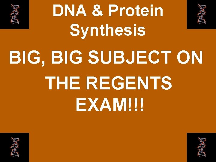 DNA & Protein Synthesis BIG, BIG SUBJECT ON THE REGENTS EXAM!!! 