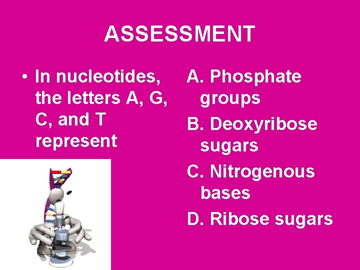 ASSESSMENT • In nucleotides, the letters A, G, C, and T represent A. Phosphate