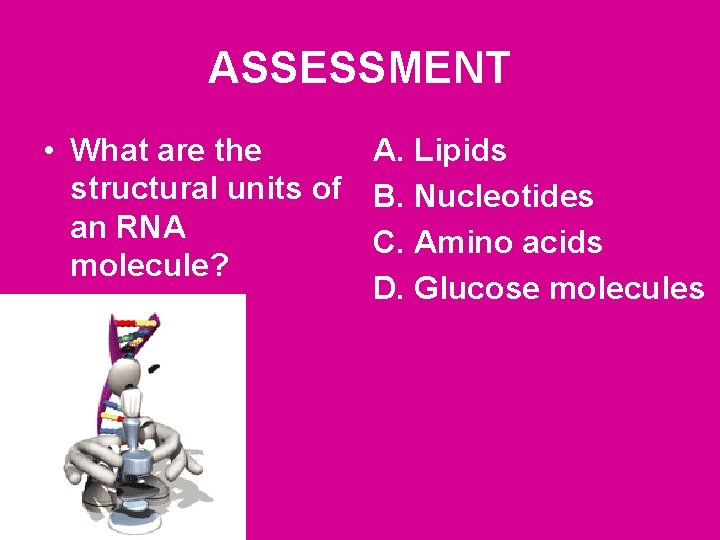 ASSESSMENT • What are the A. Lipids structural units of B. Nucleotides an RNA