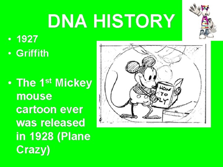 DNA HISTORY • 1927 • Griffith • The 1 st Mickey mouse cartoon ever