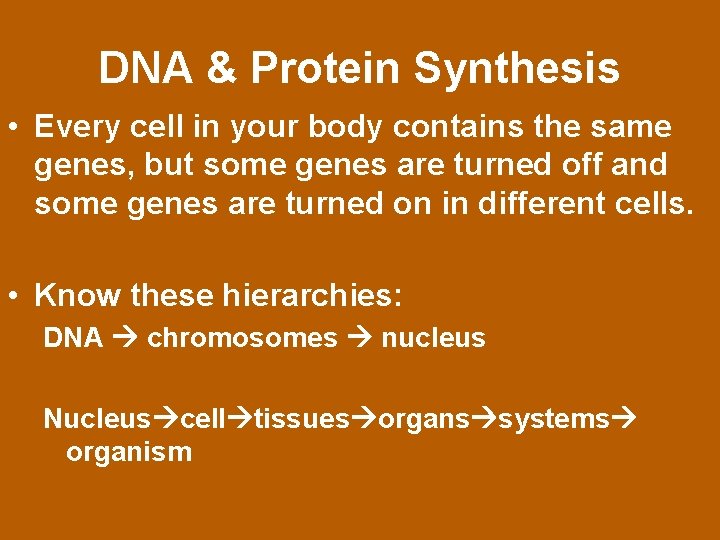 DNA & Protein Synthesis • Every cell in your body contains the same genes,