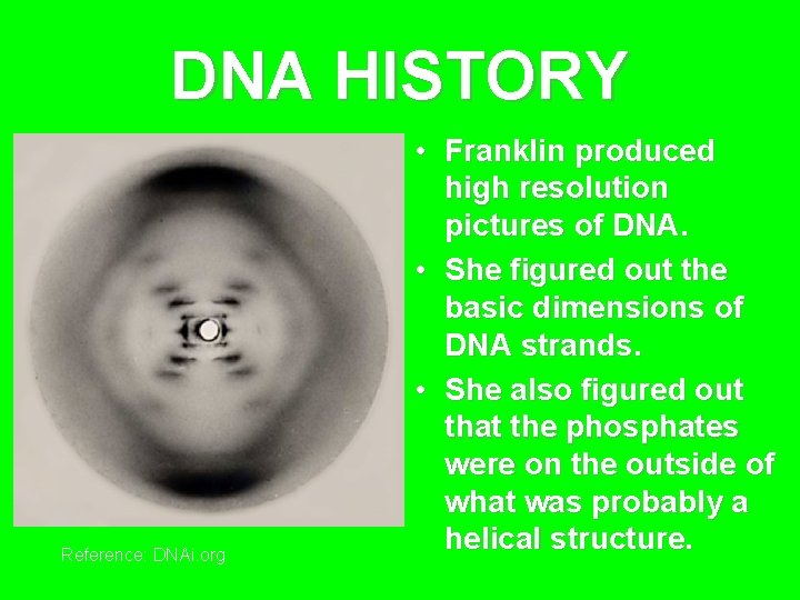 DNA HISTORY Reference: DNAi. org • Franklin produced high resolution pictures of DNA. •