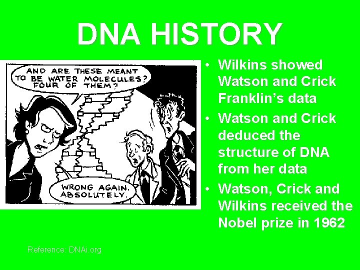 DNA HISTORY • Wilkins showed Watson and Crick Franklin’s data • Watson and Crick