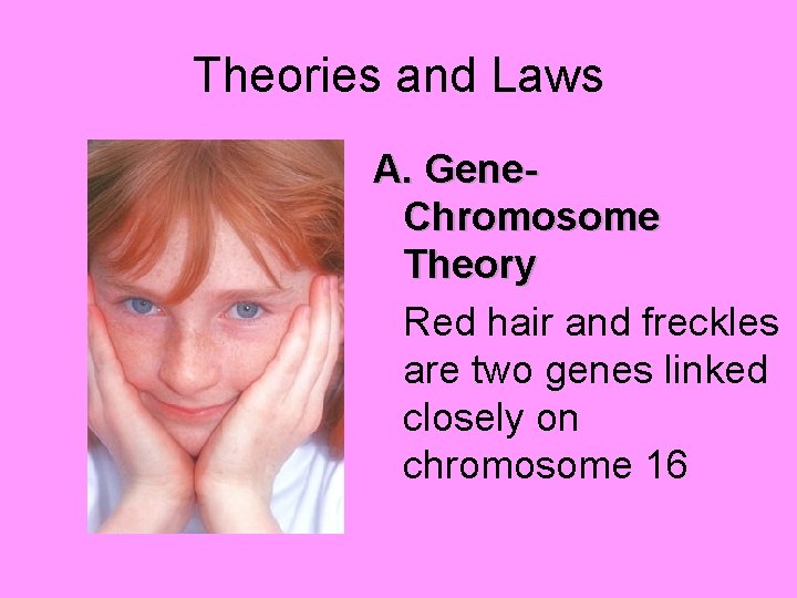 Theories and Laws A. Gene. Chromosome Theory Red hair and freckles are two genes