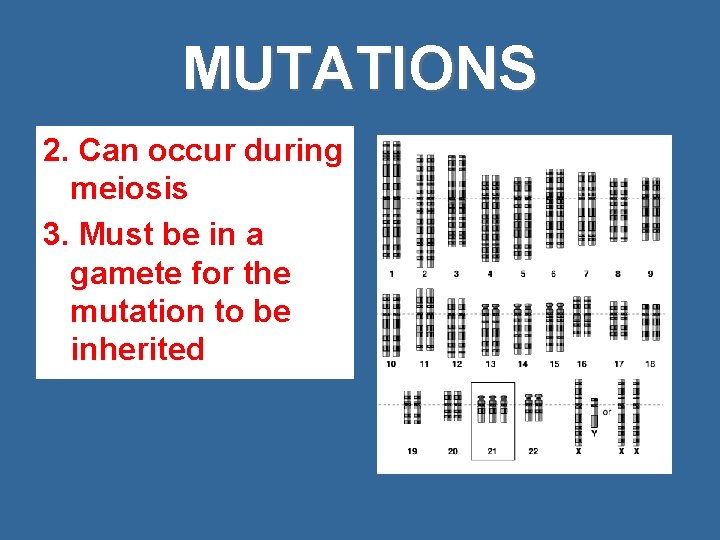 MUTATIONS 2. Can occur during meiosis 3. Must be in a gamete for the