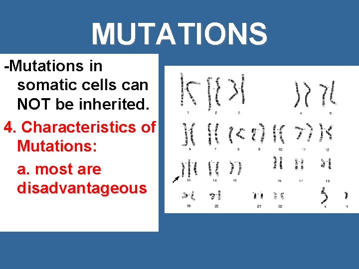 MUTATIONS -Mutations in somatic cells can NOT be inherited. 4. Characteristics of Mutations: a.