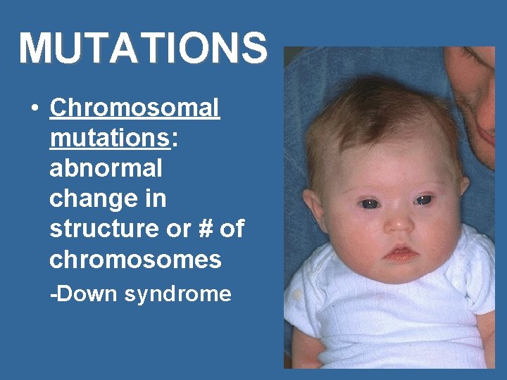 MUTATIONS • Chromosomal mutations: abnormal change in structure or # of chromosomes -Down syndrome